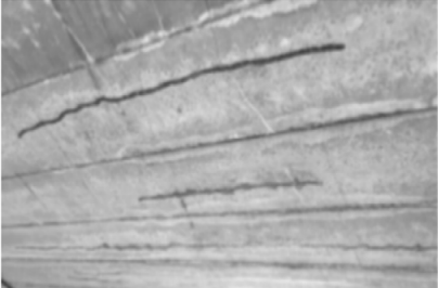 Longitudinal cracks in bottom of beam Longitudinal cracks in bottom of beam