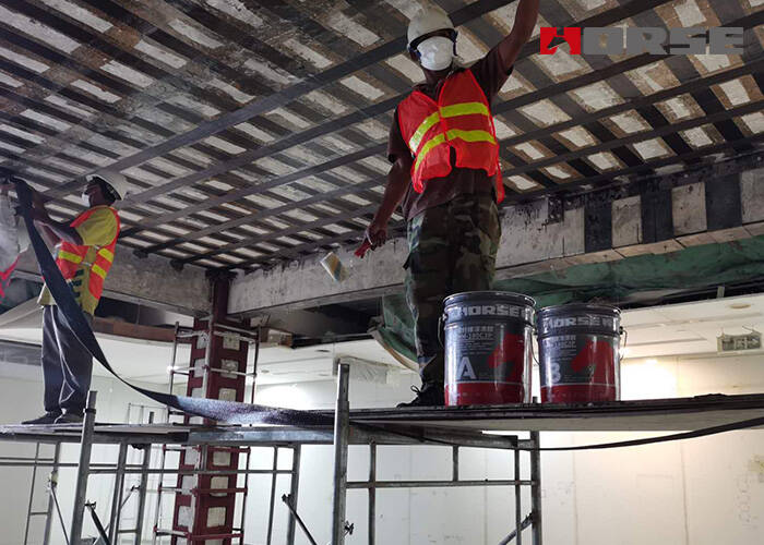 carbon fiber reinforcemnet carbon fiber reinforcemnet